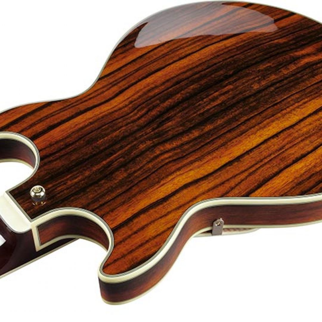 -ibanez-am93me-nt-guitarra-electrica-4881