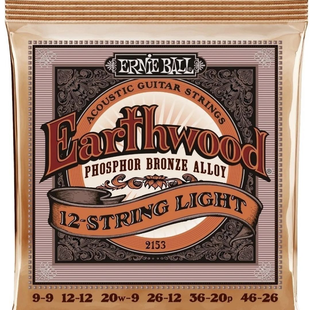 ernie-ball-2153-earthwood-12-cuerdas-de-guitarra-acustica-5579